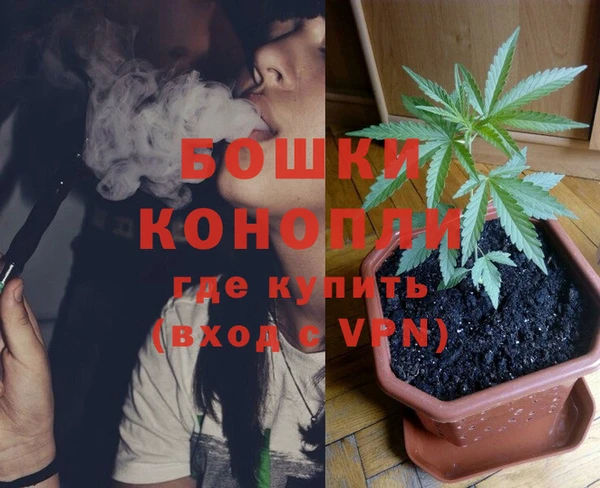ПСИЛОЦИБИНОВЫЕ ГРИБЫ Инта