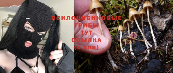 мяу мяу кристалл Инсар