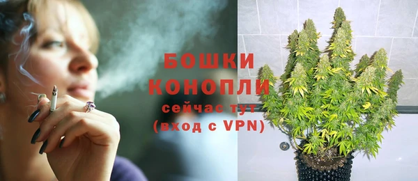стафф Зерноград