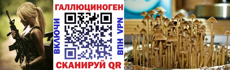 Галлюциногенные грибы Cubensis купить сайты Пласт